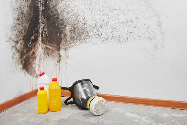 Best Residential Mold Removal  in Vilge St George, LA
