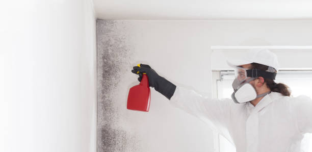 Best Mold Testing  in Vilge St George, LA